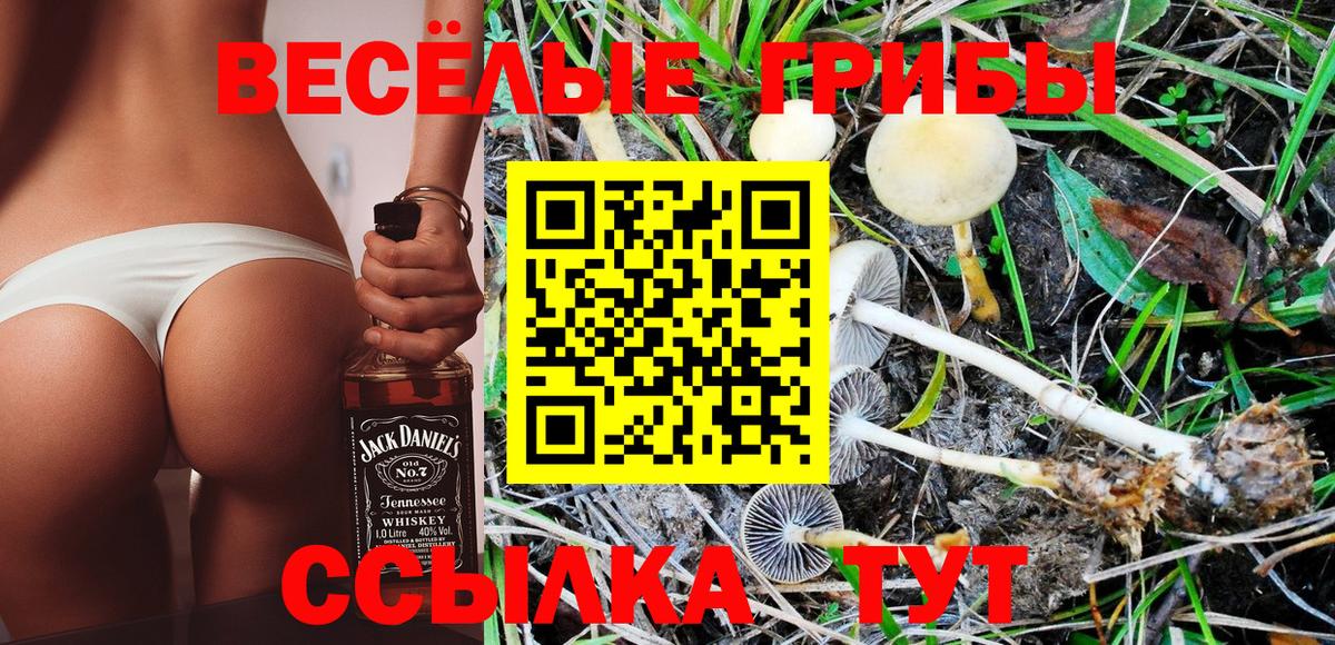 Псилоцибиновые грибы мухоморы Карачаевск